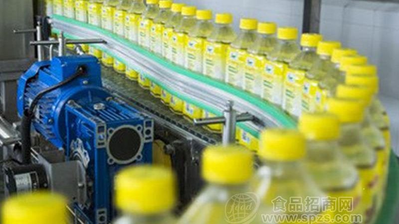冻干食品加工设备：揭秘其核心工艺与选购要点